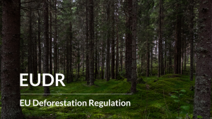 European Deforestation-free Products Regulation